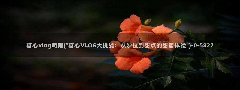 糖心vllog：糖心vlog司雨(\