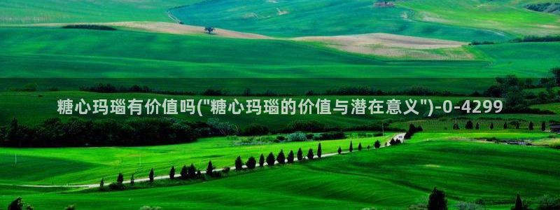 糖心小巨是谁
