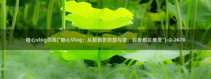 糖心l：糖心vlog司雨(\