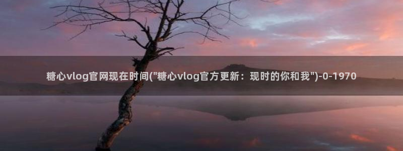 糖心vloc：糖心vlog官网现在时间(\