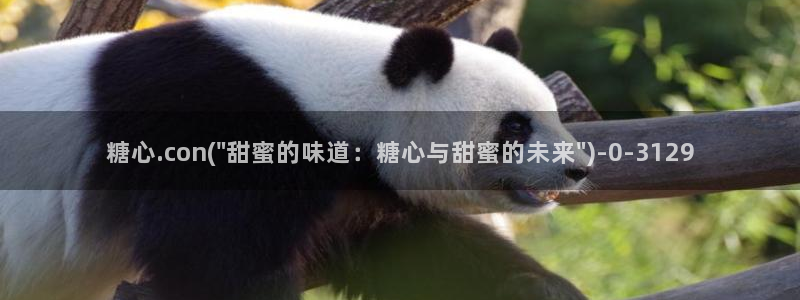 糖心小巨是谁